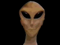 alien2.gif (22011 bytes)